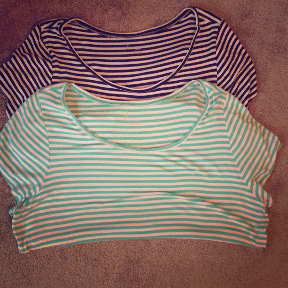 Lane Bryant cotton stripe tees